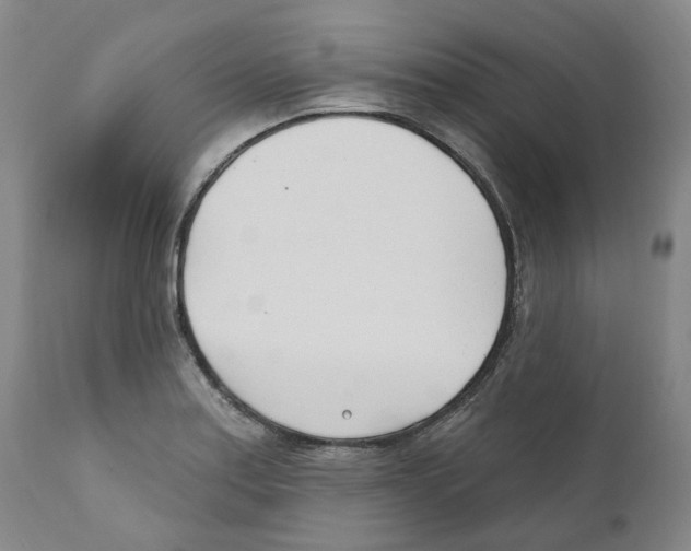 X0000110901179200907161544