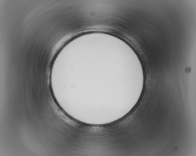 X0000110901180200907161544