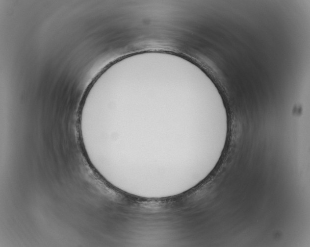 X0000110901182200907161544