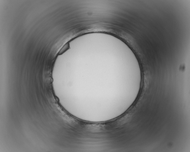 X0000110901185200907161544