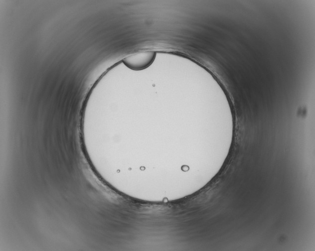 X0000110901187200907161544