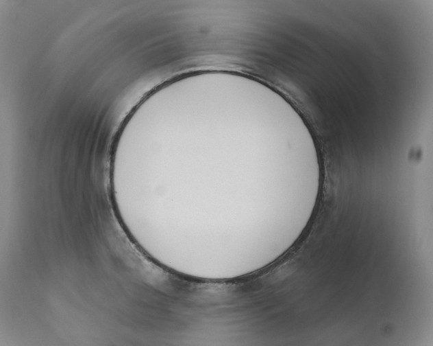 X0000110901188200907161543