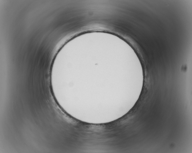 X0000110901191200907161543