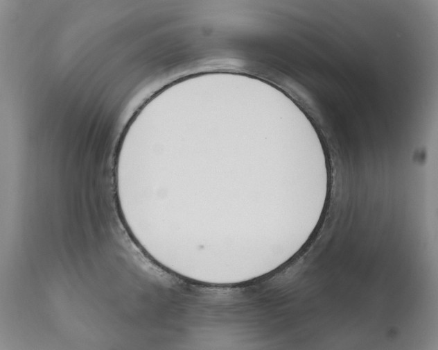 X0000110901192200907161543