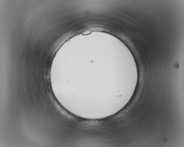 X0000110901193200907161543