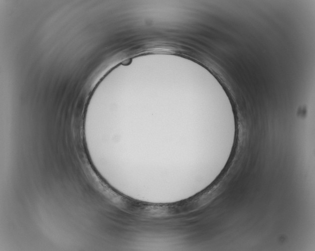 X0000110901194200907161543