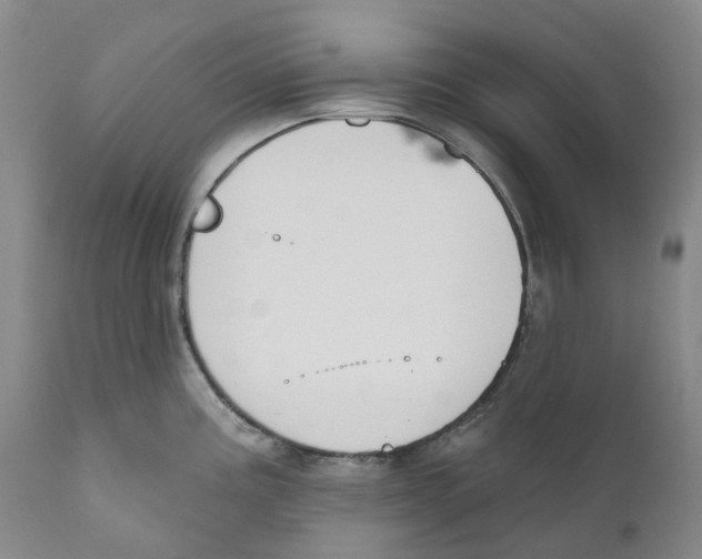 X0000110901195200907161543