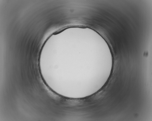 X0000110901197200907161543