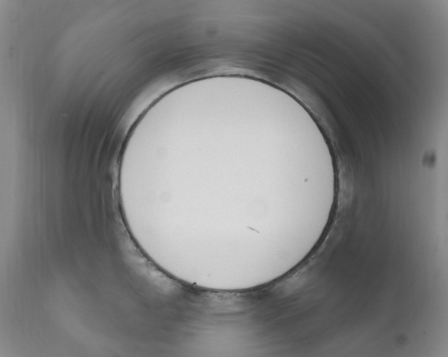 X0000110901198200907161543