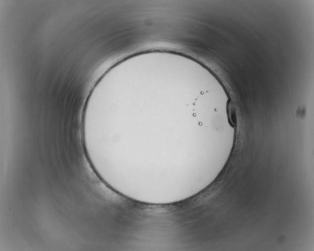 X0000110901199200907161543