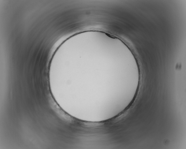 X0000110901200200907161543