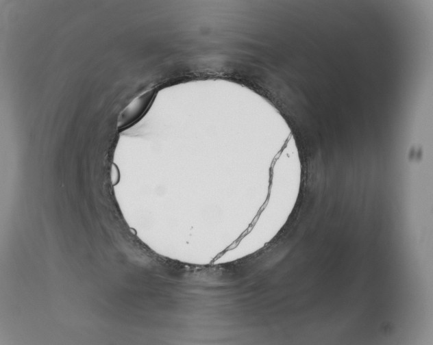 X0000110901201200907161543