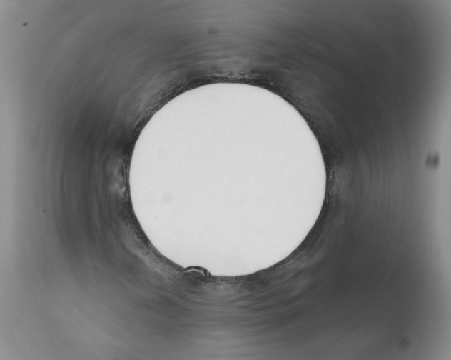 X0000110901202200907161543