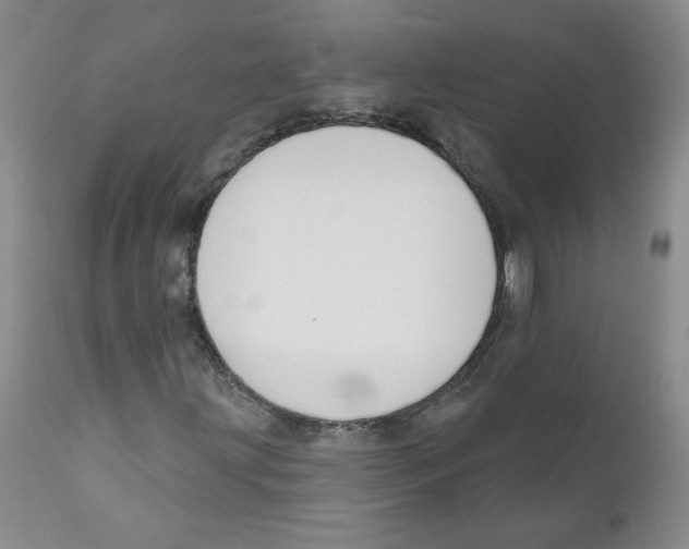 X0000110901203200907161543