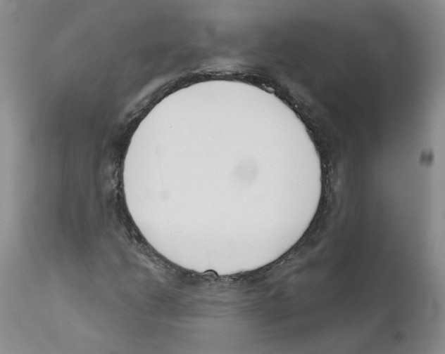 X0000110901206200907161543