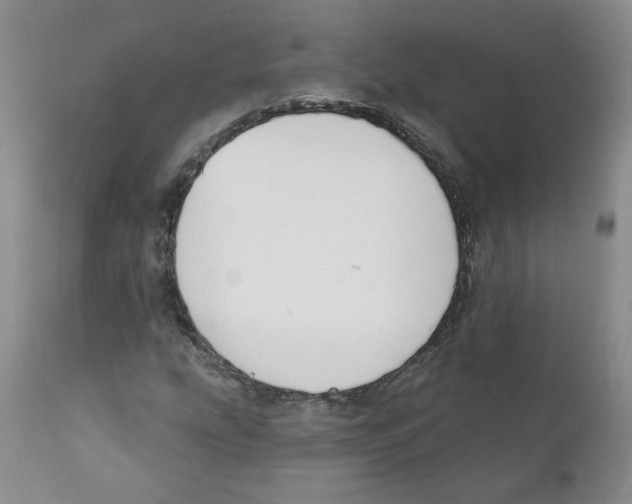 X0000110901207200907161543