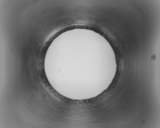 X0000110901208200907161543