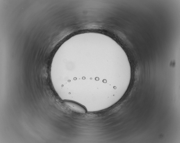 X0000110901209200907161543