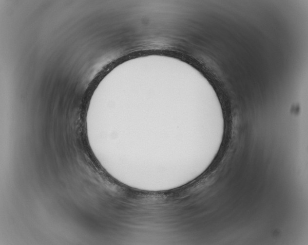 X0000110901210200907161543