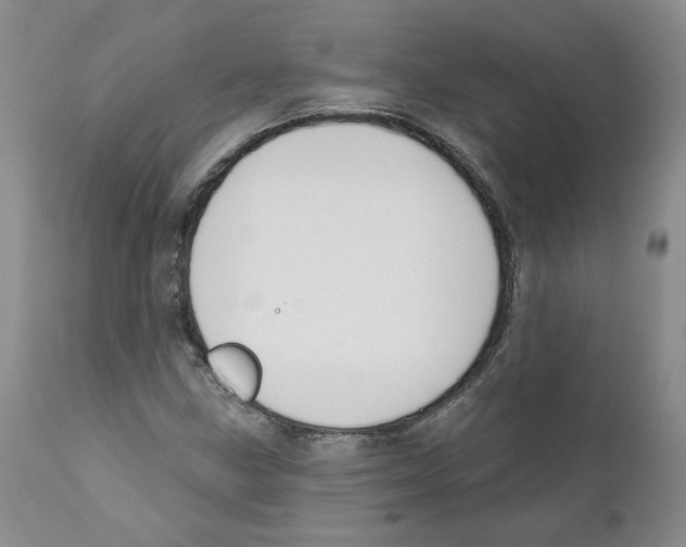 X0000110901211200907161543