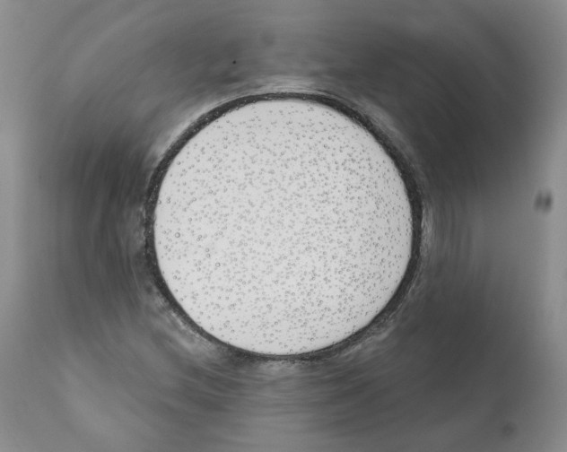 X0000110901212200907161543