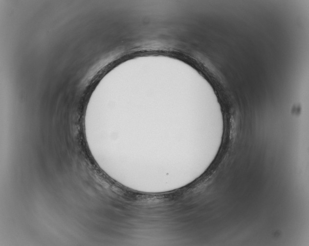 X0000110901213200907161543