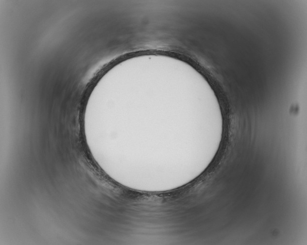 X0000110901214200907161543