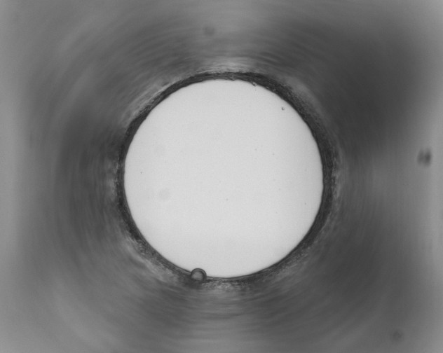 X0000110901217200907161543