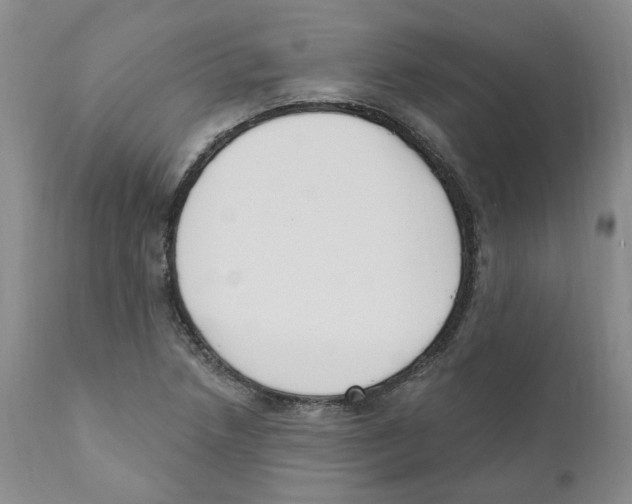 X0000110901218200907161543