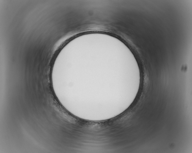 X0000110901222200907161543