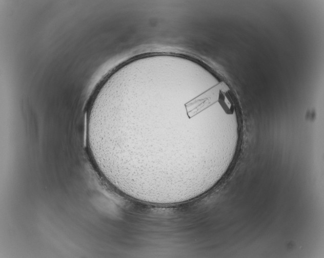 X0000110901223200907161543