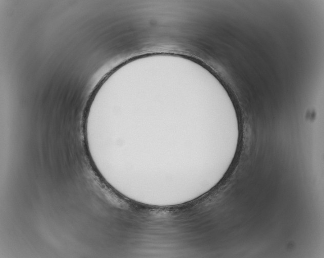 X0000110901230200907161543