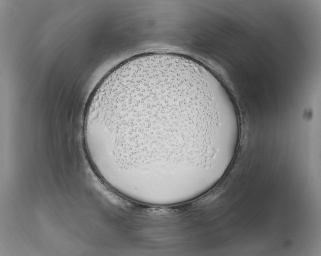 X0000110901231200907161543