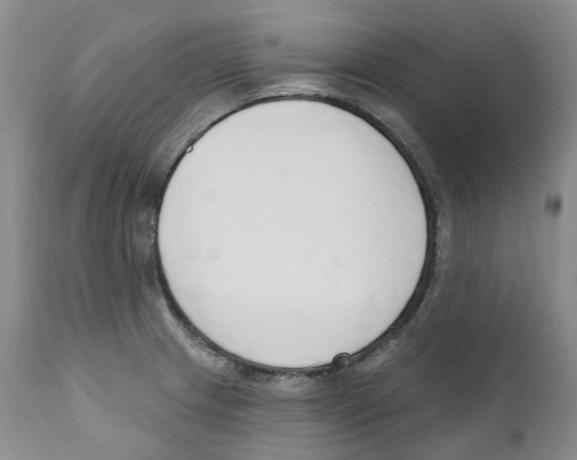 X0000110901233200907161543