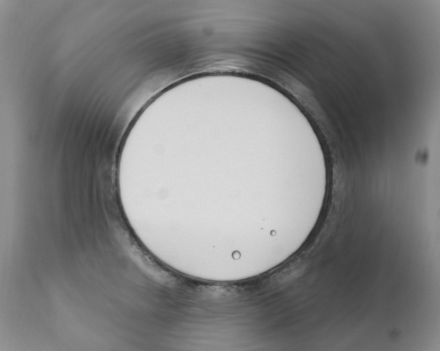 X0000110901234200907161543