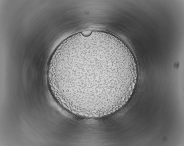 X0000110901235200907161543