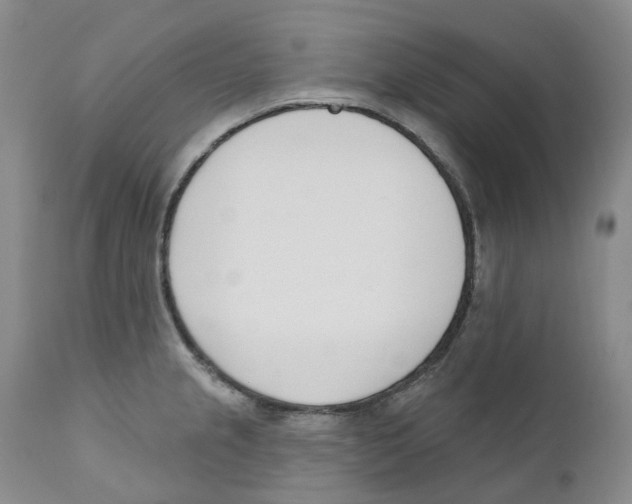 X0000110901237200907161543