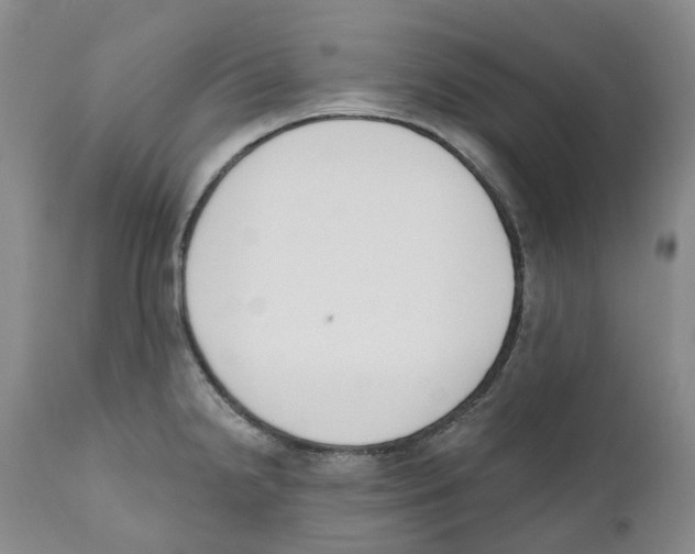 X0000110901238200907161543