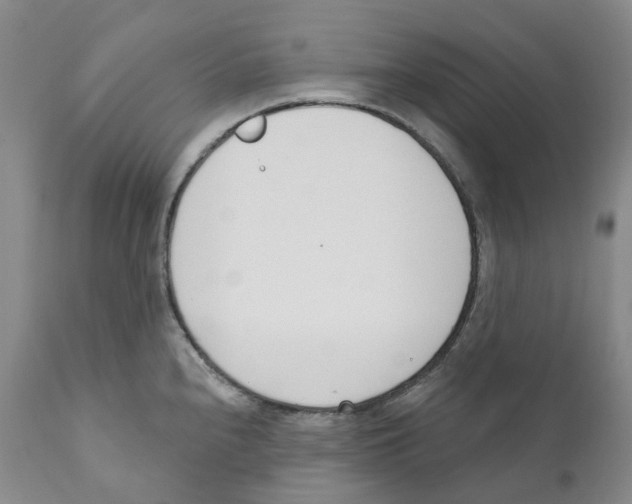 X0000110901240200907161543