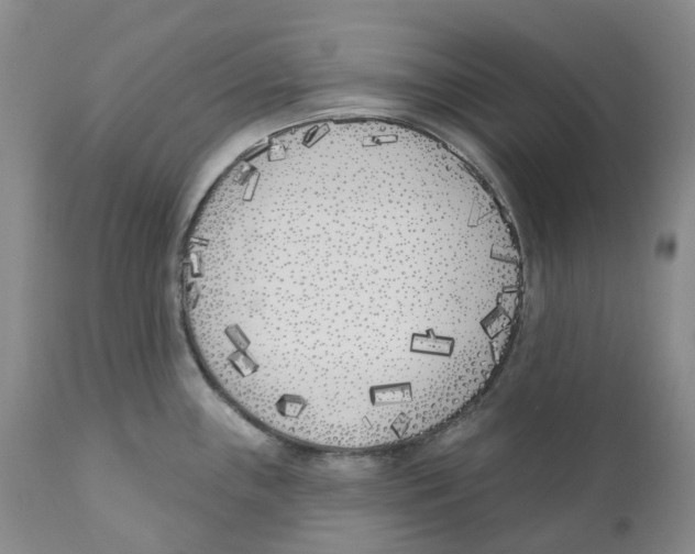 X0000110901243200907161543