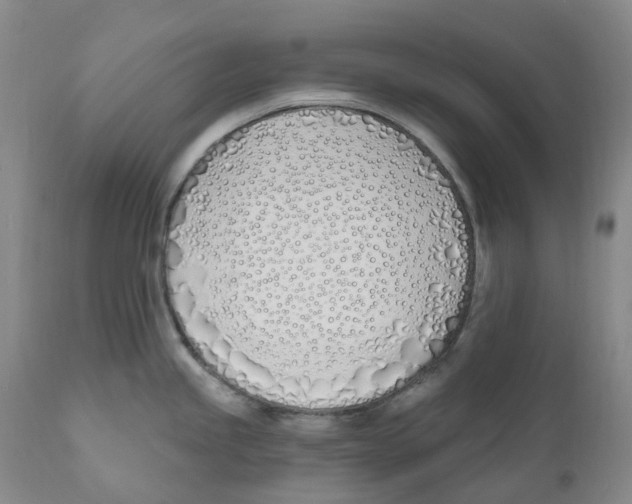 X0000110901245200907161543