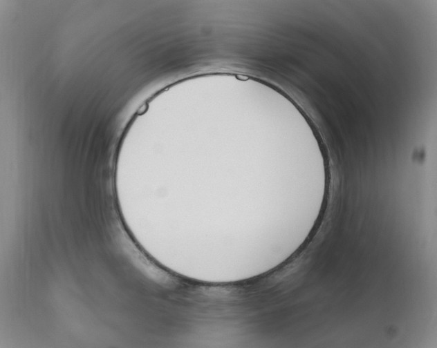 X0000110901246200907161543