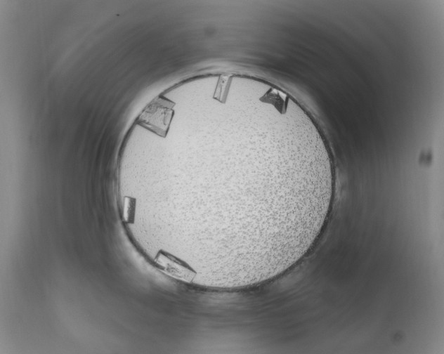 X0000110901247200907161543