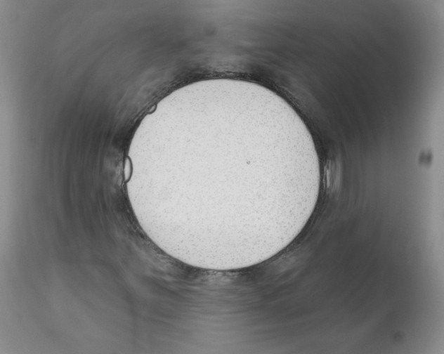 X0000110901251200907161543