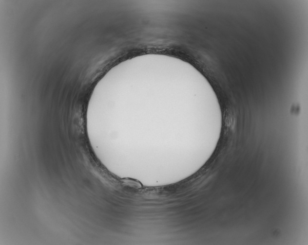 X0000110901252200907161543