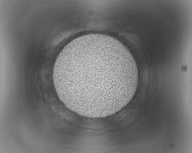 X0000110901254200907161543