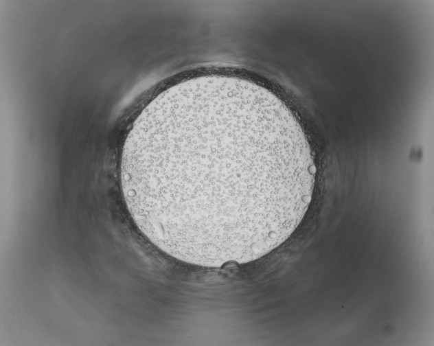 X0000110901255200907161543