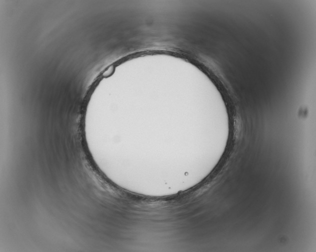 X0000110901260200907161542