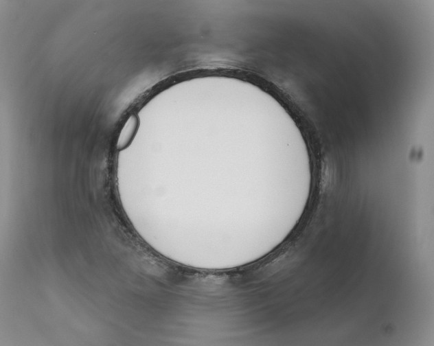 X0000110901261200907161542