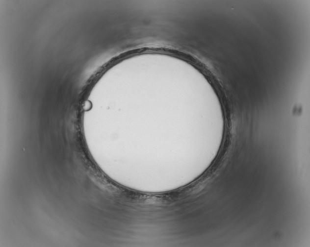 X0000110901263200907161542